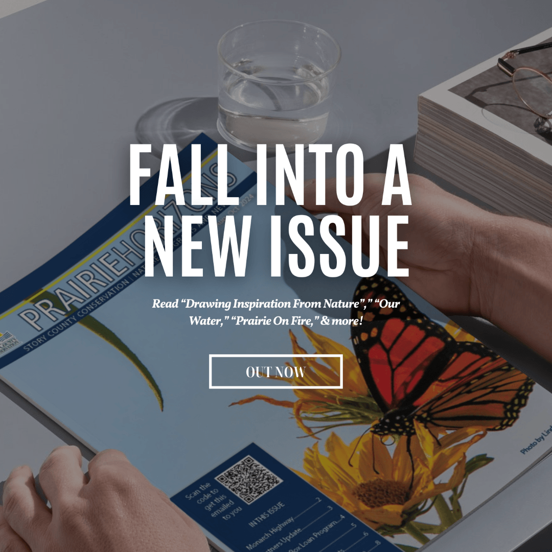 Prairie Horizons cover with Monarch Butterfly