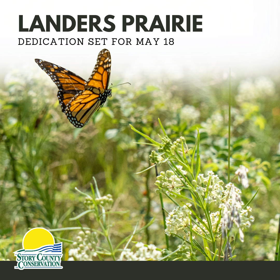Landers Prairie event cover with monarch butterfly over white prairie plant