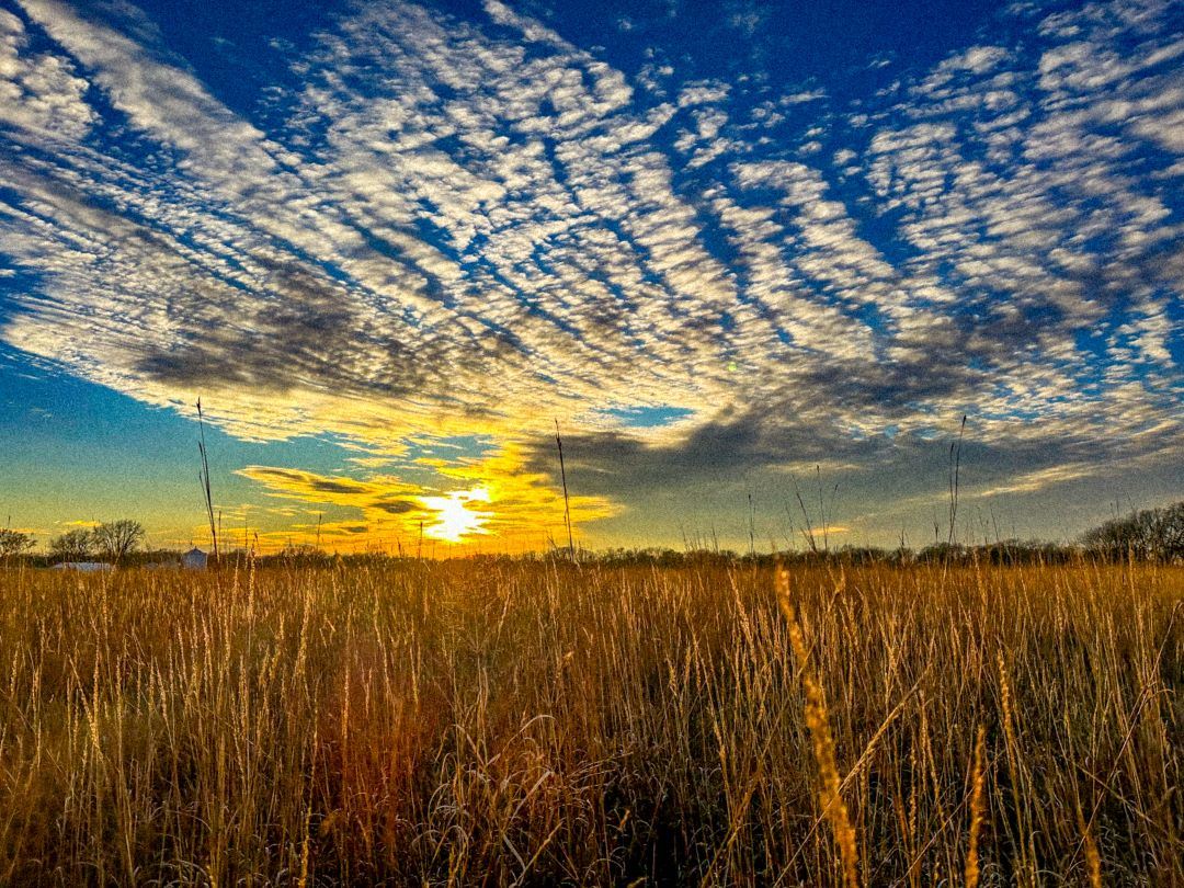 Sunset over prairie with dark blue sky