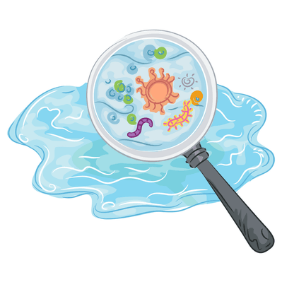 water-germs