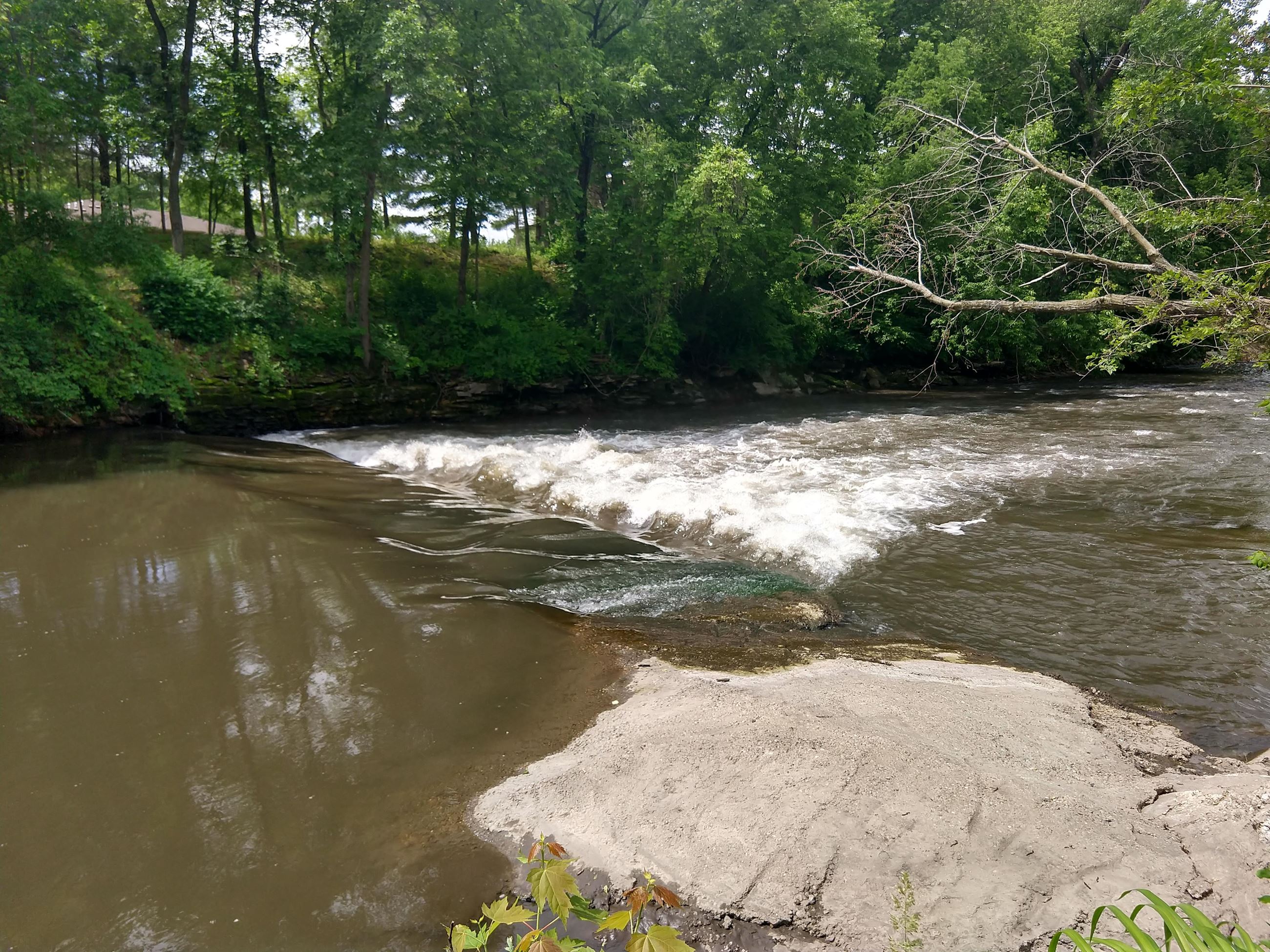 SCC_HannumsMillDam_SiteVisit_6JUN2019_CreditToRobDavis_IMG8