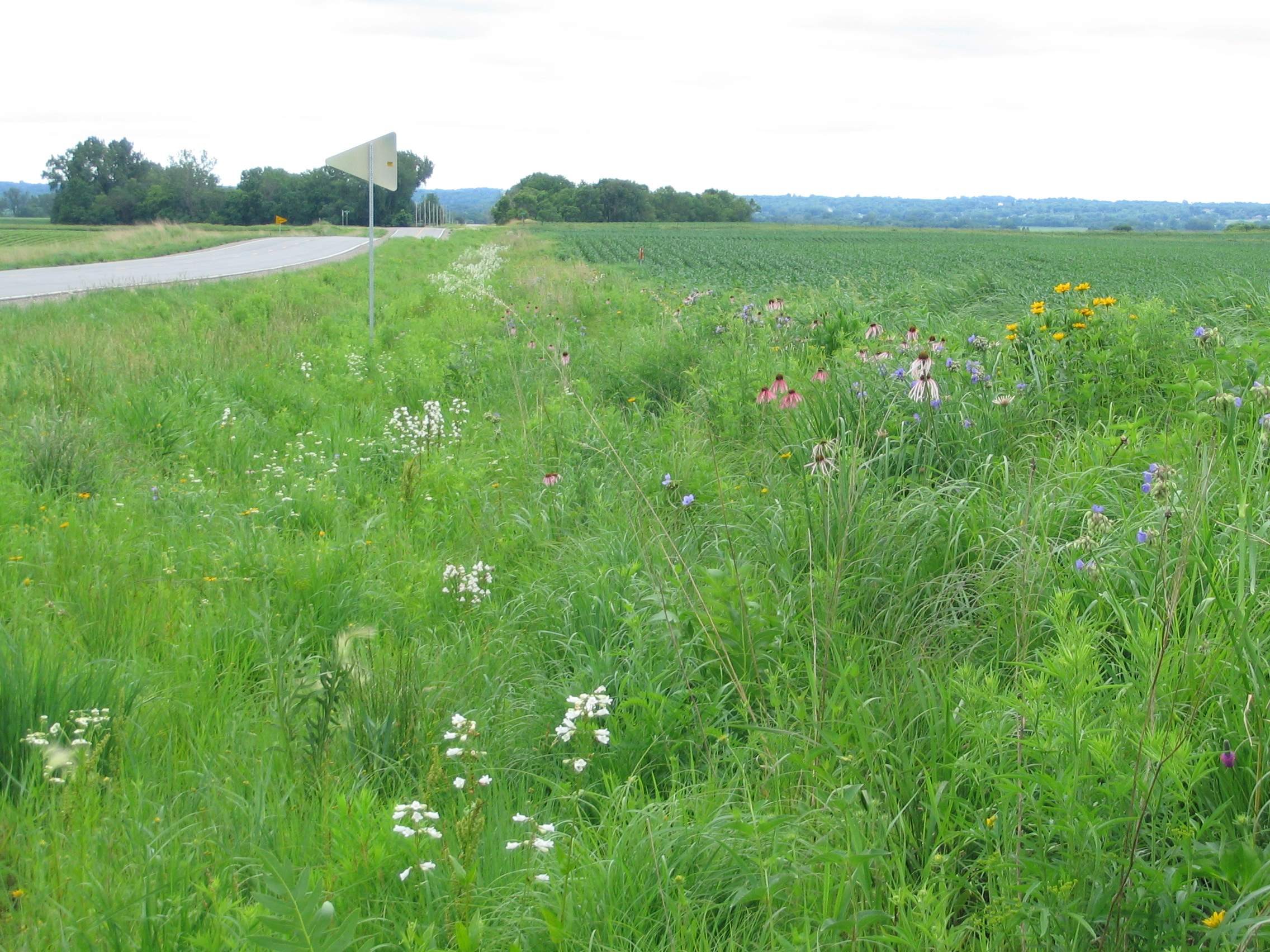 S14 Story County Roadside Vegetation No Mowing Law 