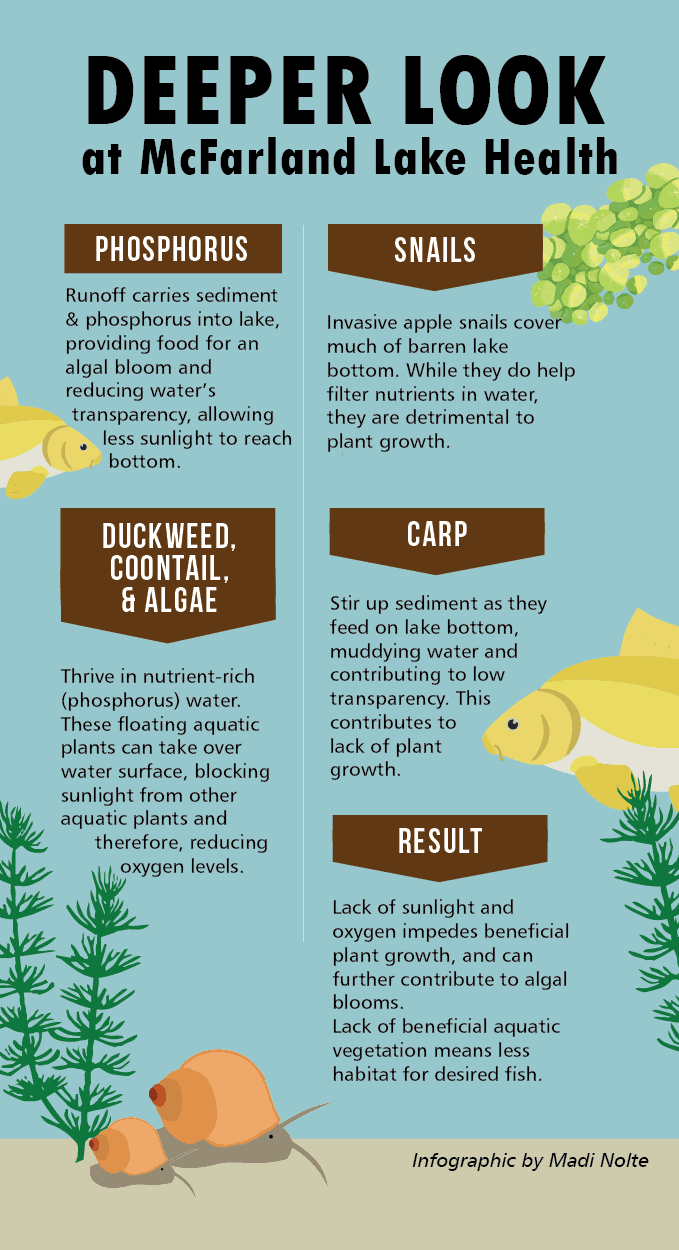Infographic explaining relationship between invasive lake plants animals