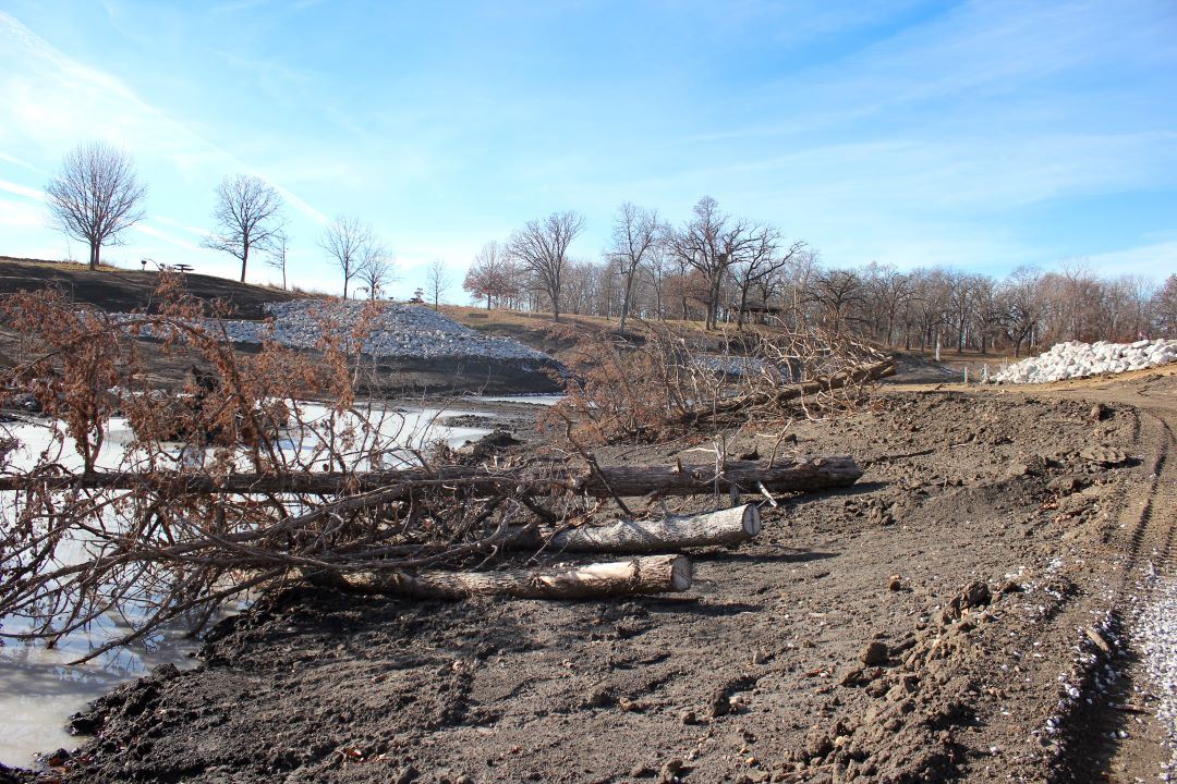 Pile of downed cedar trees creates fish structure inside empty McFarland Lake during renovation