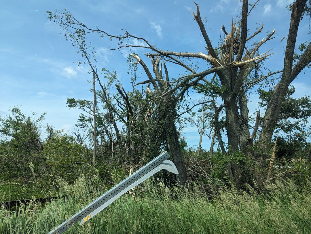 Metal park sign is bent and leaning with many snapped trees in background, showing tornado damage