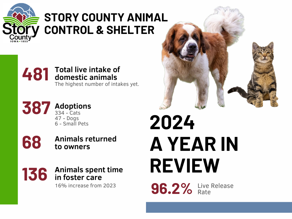 2024 A Year in Review