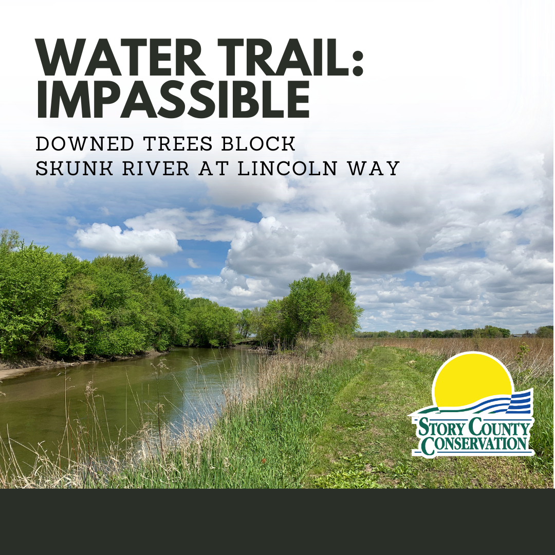 Skunk River winds with blue sky and green trees lining both sides